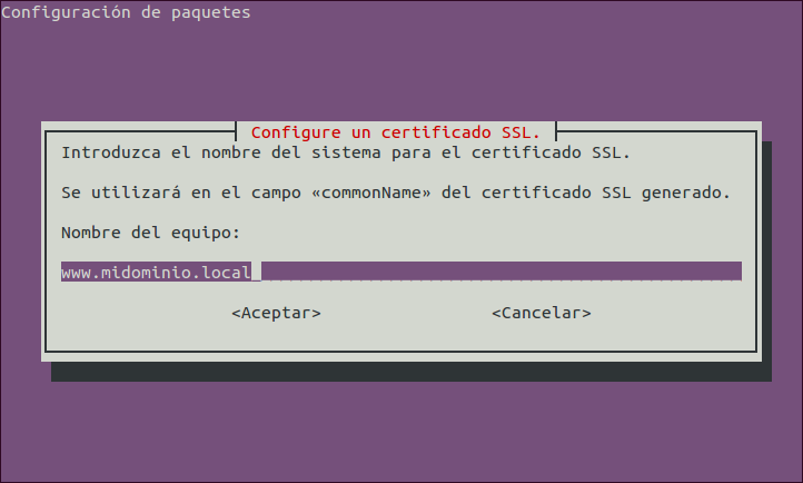 Imagen que muestra la generación de certificado autofirmado para el dominio www.midominio.local