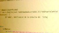 Captura de pantalla que muestra un extracto de un programa de ordenador.