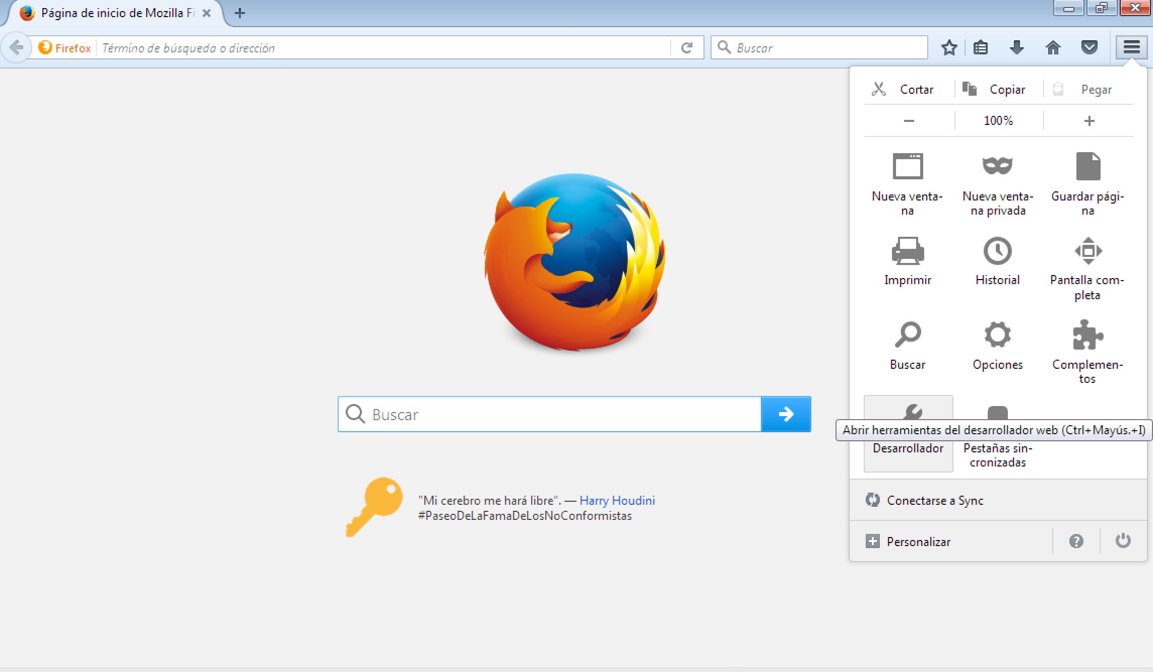 opciones de desarrollador en Mozilla Firefox