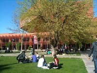 Grupo de alumnos y alumnas sentadas en el césped del campus de una Universidad.