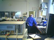 Persona de espaldas trabajando con un ordenador en una oficina.