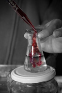 En primer plano una mano sujeta una probeta donde se está vertiendo un líquido de color rojo. En segundo plano un fondo en blanco y negro del soporte donde está la probeta y el torso de la persona que realiza el experimento.