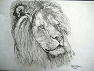 Dibujo de un león.