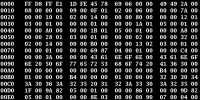 Pantalla negra con caracteres en hexadecimal.