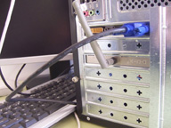 El cable de datos del monitor ha sido conectado a su correspondiente conector de la tarjeta de video.