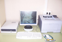 Distribución sobre una mesa de despacho de la cpu, monitor, teclado, ratón e impresora.