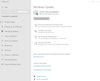 Muestra la ventana de la herramienta de Windows Update
