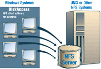 Esquema en el que se detallan los diferentes elementos del servicio NFS.